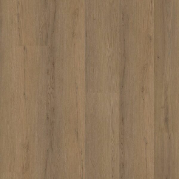 1Venera dryback dark oak