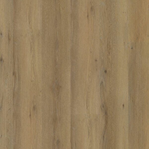 1Vivero dryback dark oak