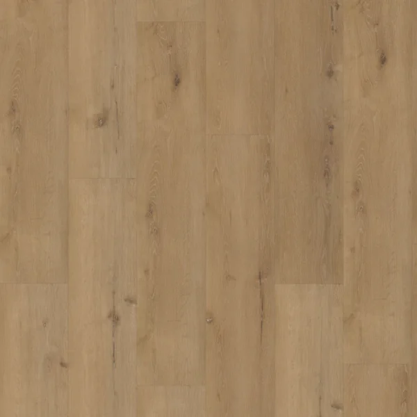 Floordeals Goudsbloem 3