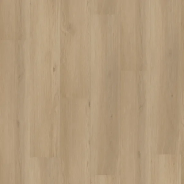 Floordeals Tulp 3