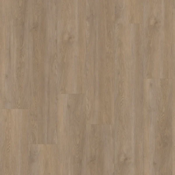 Floordeals Zonnebloem 3